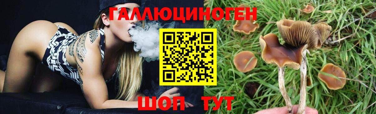 наркошоп  Вход с VPN  Апрелевка  Псилоцибиновые грибы Psilocybine cubensis 